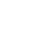 apple icon